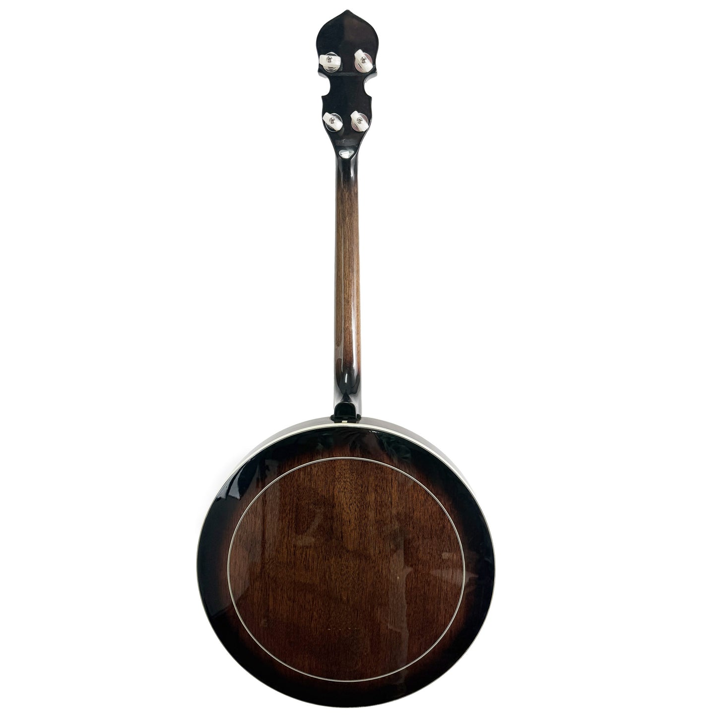 Gold Tone Tenor Banjo, IT-250F, Used