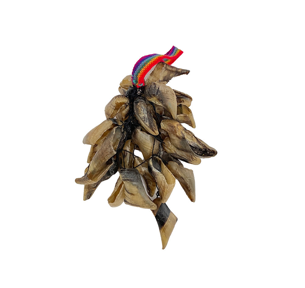 Goat Toenail Shaker Shakers, Maracas & Rattles Lark in the Morning