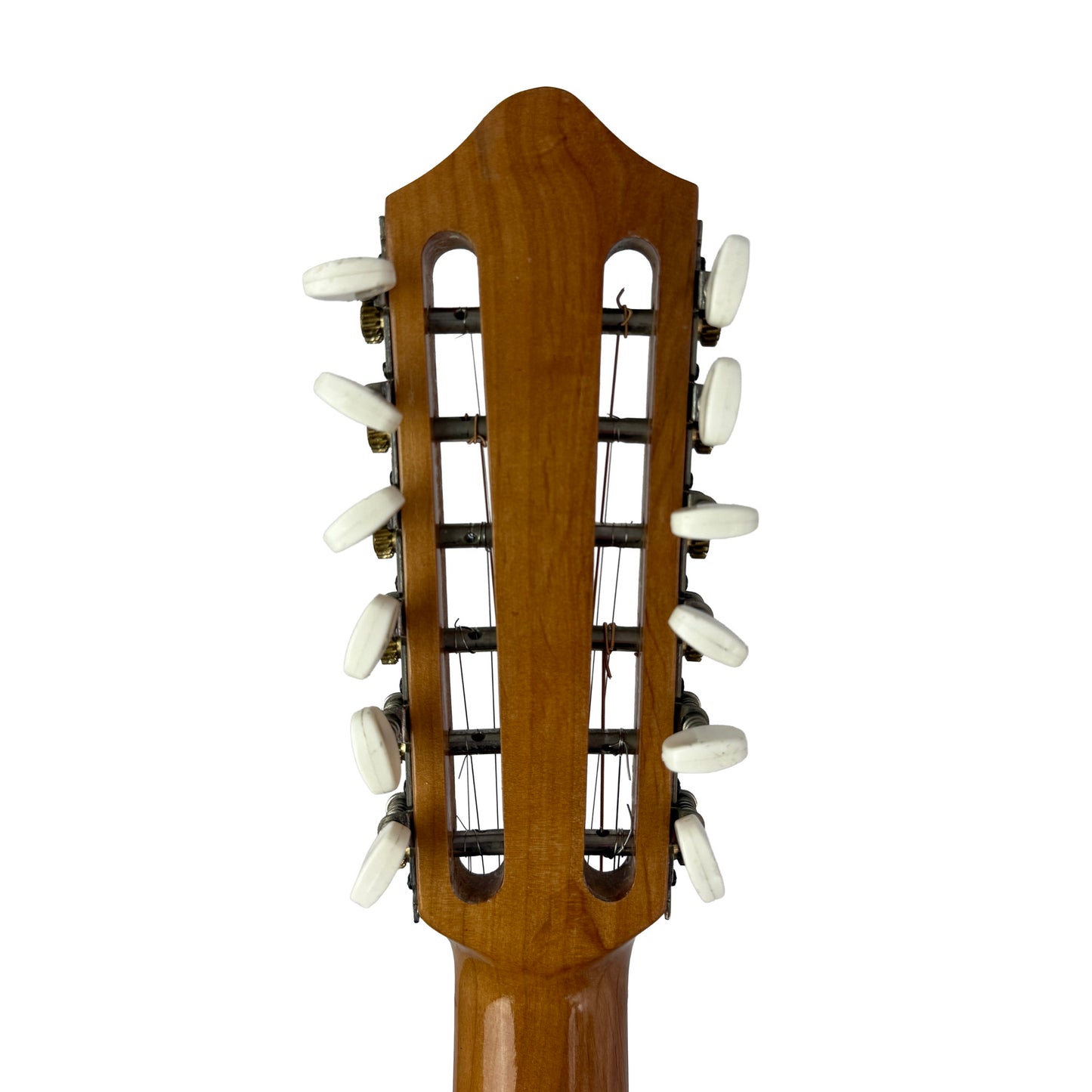 Viola da Terra