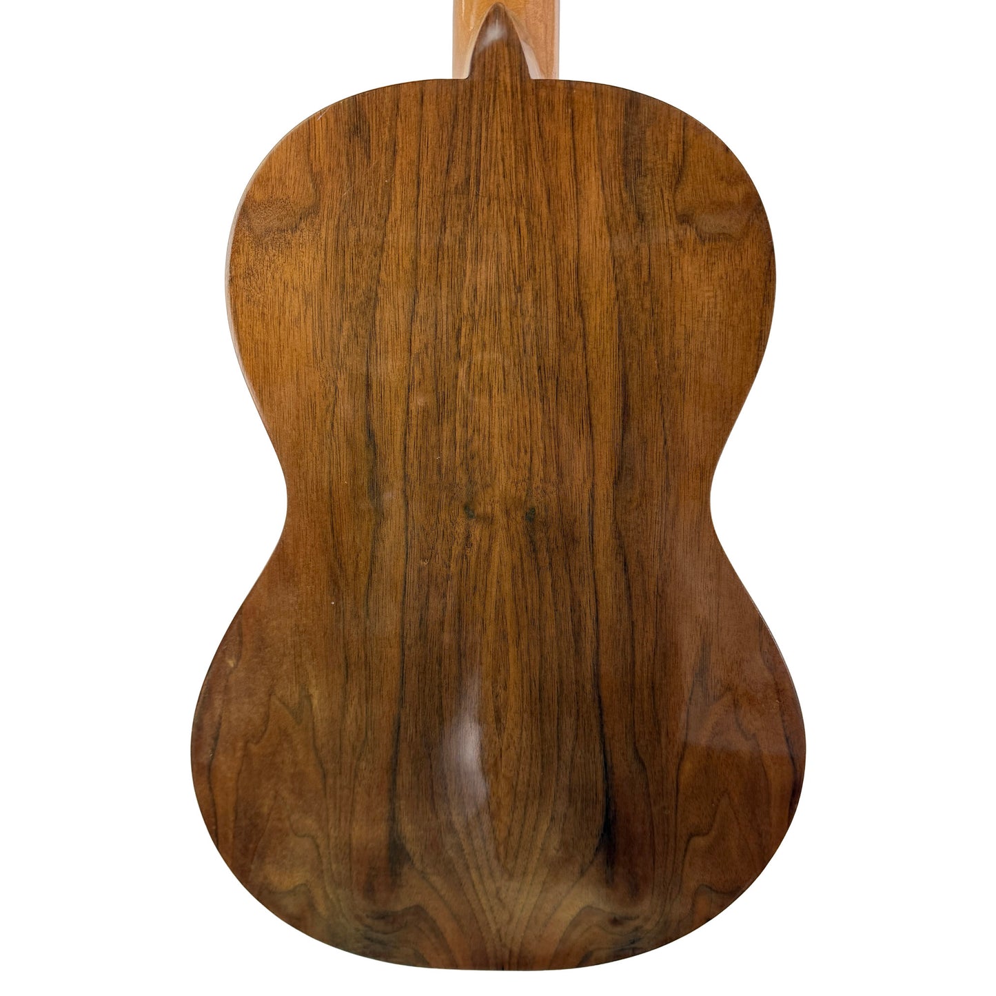 Viola da Terra