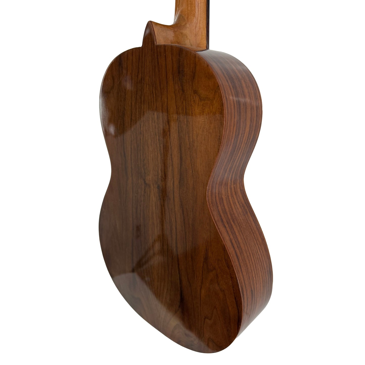 Viola da Terra