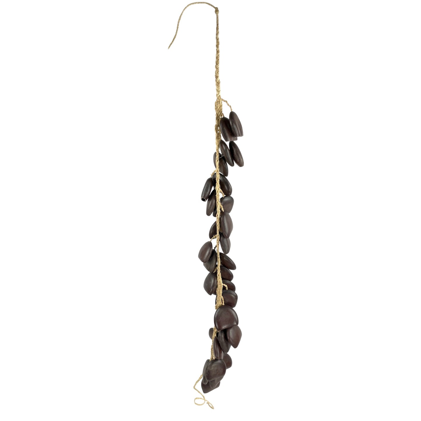Entada (African Dream Herb) Seed Belt Shaker Shakers, Maracas & Rattles Lark in the Morning