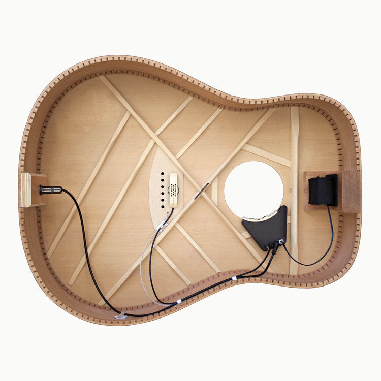 Anthem Acoustic Guitar Pickup + Microphone Pickups & Transducers L.R. Baggs