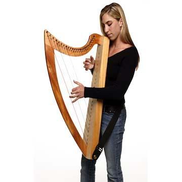 Triplett Christina 25 Therapy Harp with Full Levers Harps Triplett