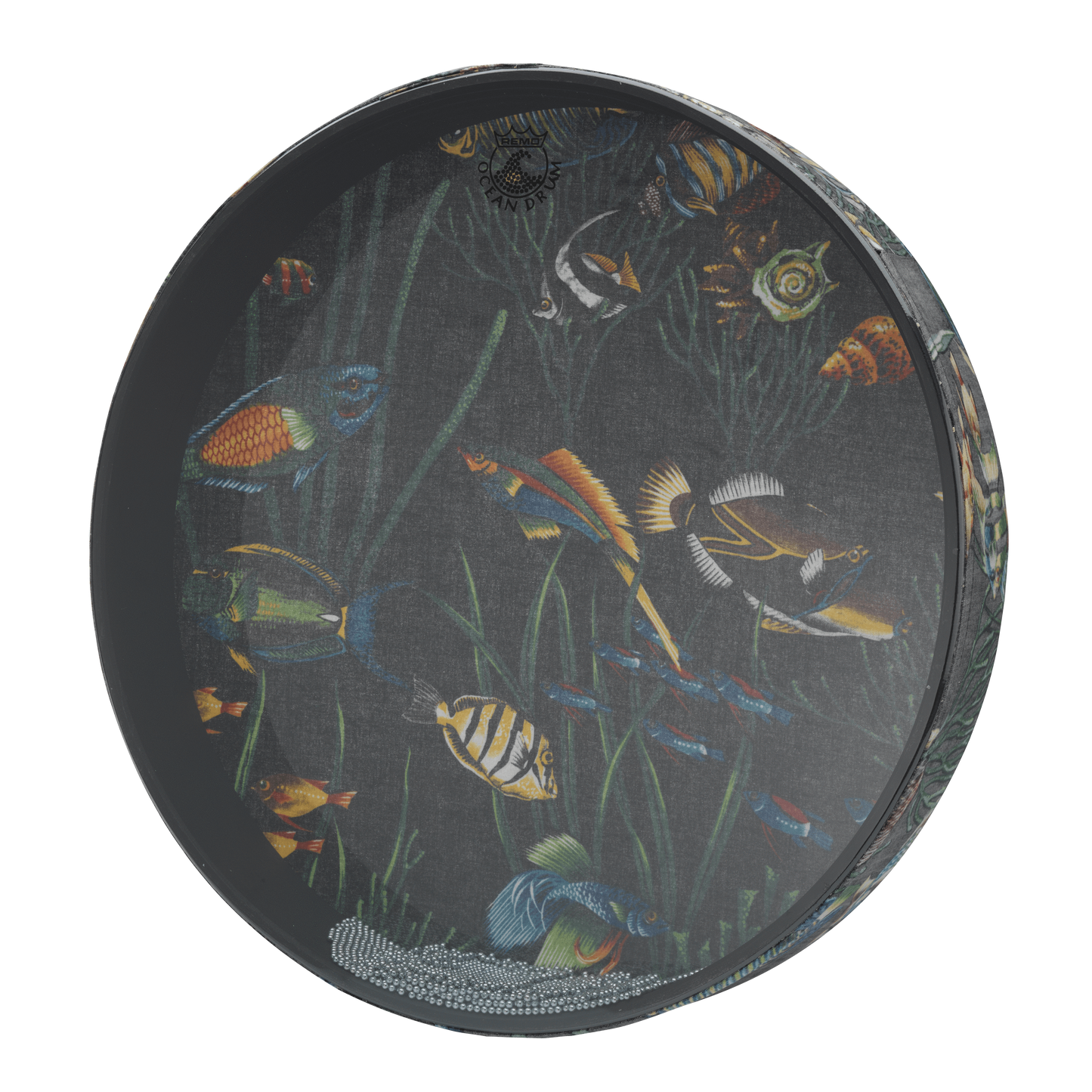 Remo Ocean Drum, 16" Diameter, 2 1/2" Depth, Fish Graphic Ocean Drums Remo