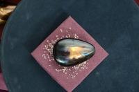 SongPod Percussion - Others SongPods