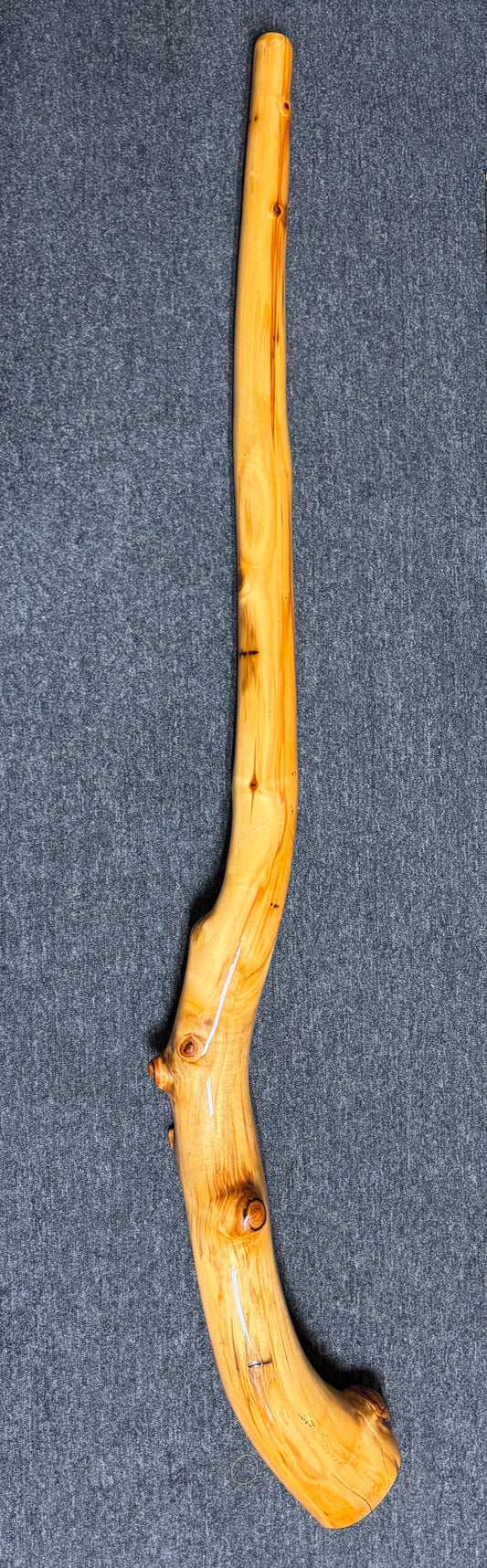 Aspen Didgeridoo by Ben Hicks