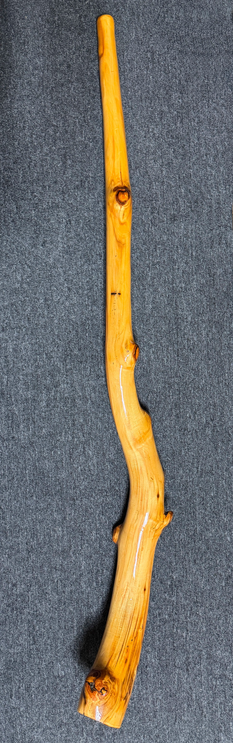Aspen Didgeridoo by Ben Hicks