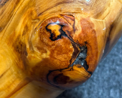 Aspen Didgeridoo by Ben Hicks