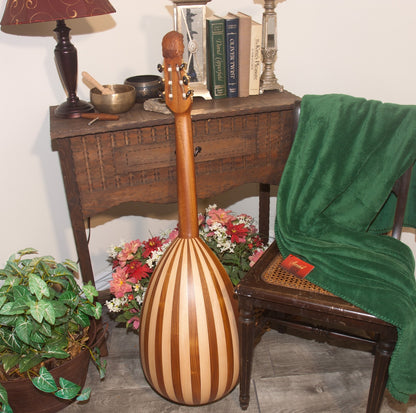 Roosebeck Lute-Guitar, 6 String, Variegated, Gears