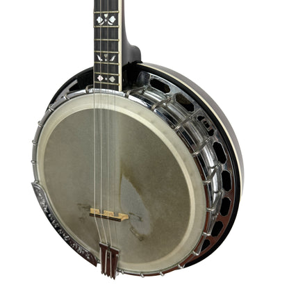 Gold Tone Tenor Banjo, IT-250F, Used