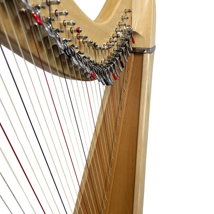 38-String Pillar Harp, Roundback, Halifax
