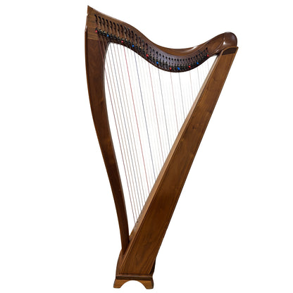 Dusty Strings FH36B Harp, pickup installed,  Pre-owned