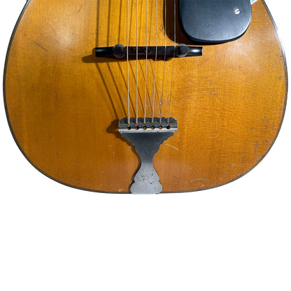 Washburn Guitar Acoustic Guitar Lark in the Morning   