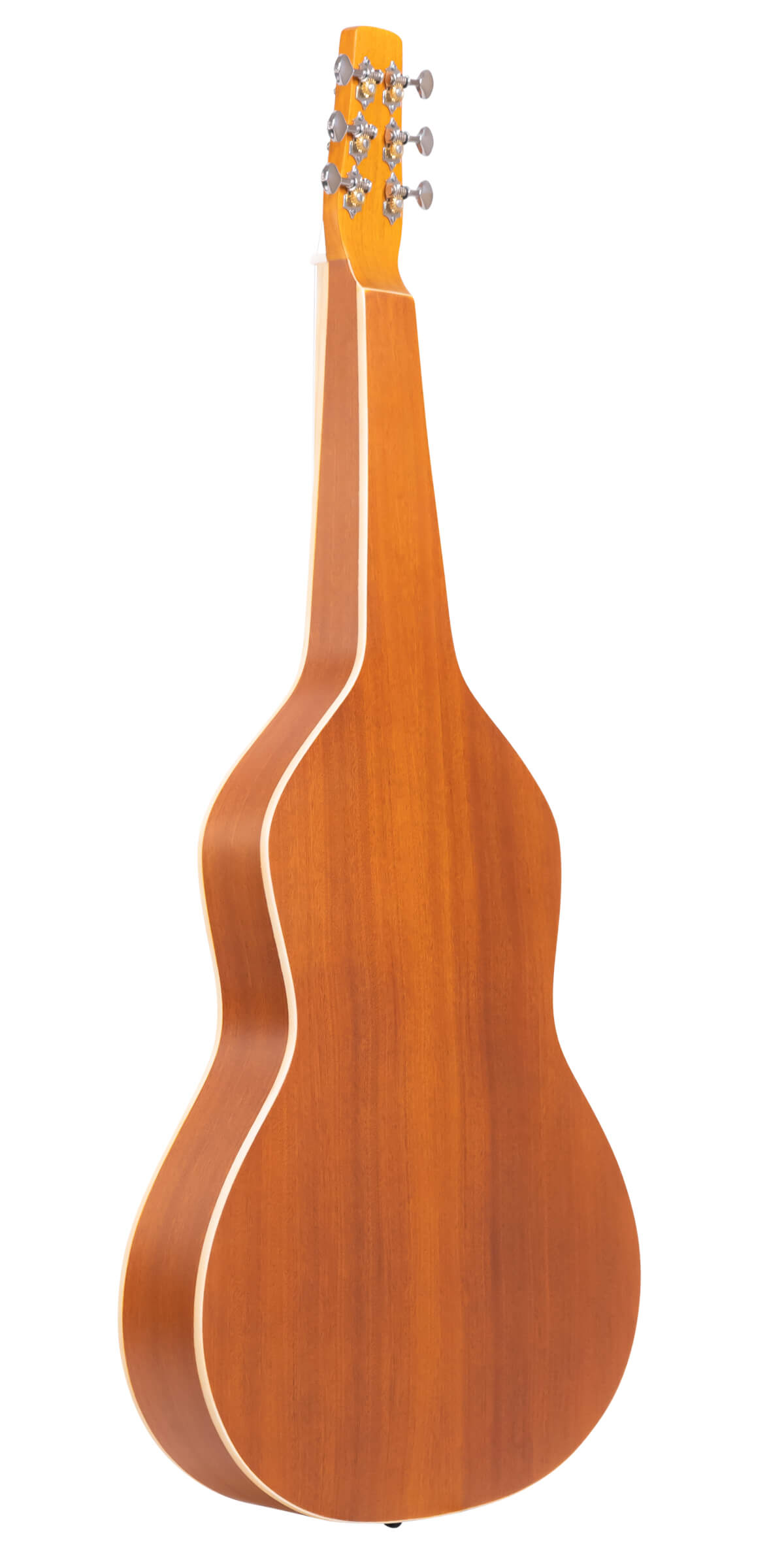Gold Tone Weissenborn: Hawaiian-Style Slide Guitar with Gig Bag Guitars Gold Tone   