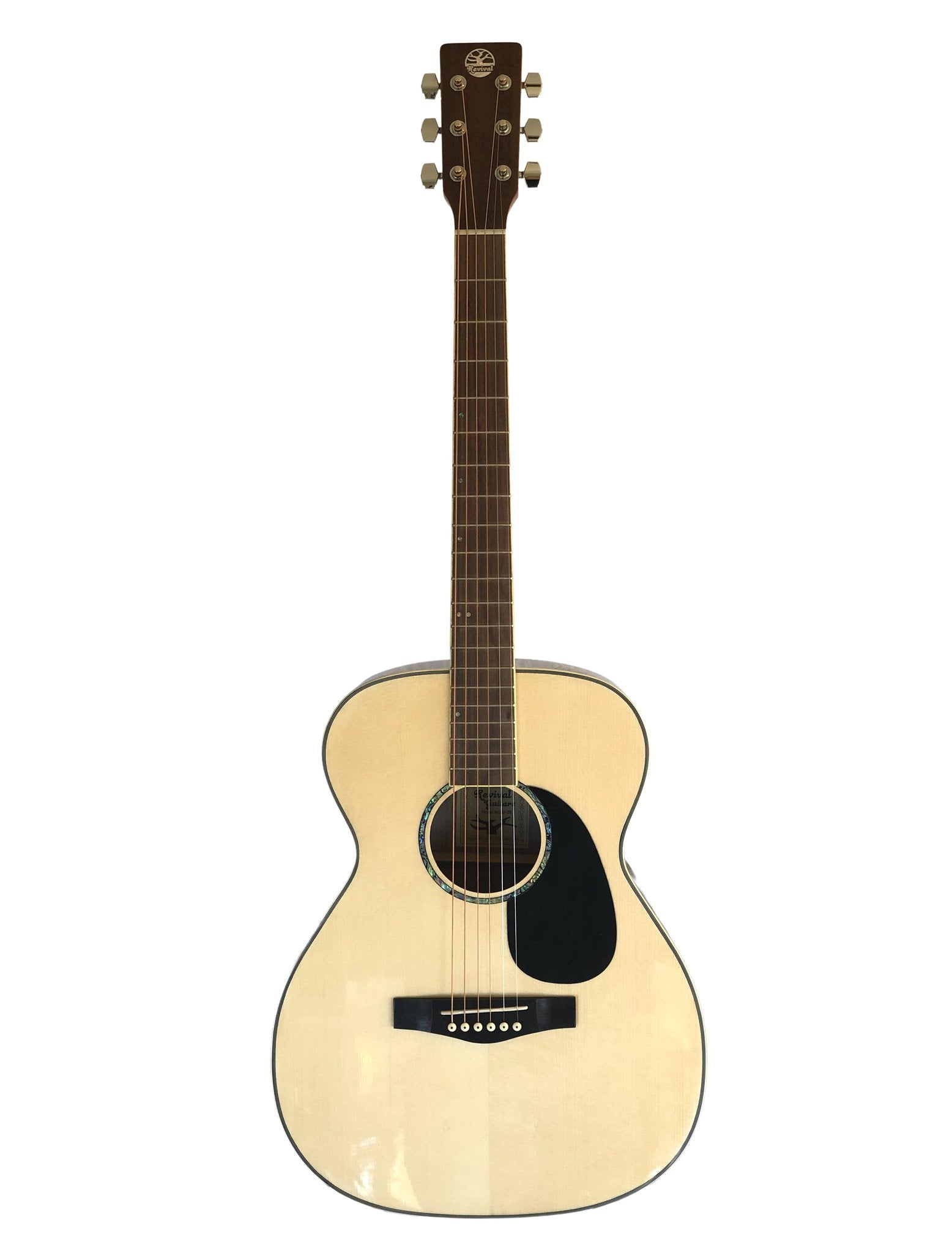 Revival RG-25 Spruce top, Black Walnut Thin Body Guitar *Blemished Guitars Revival   